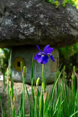 山家神社(長野県)