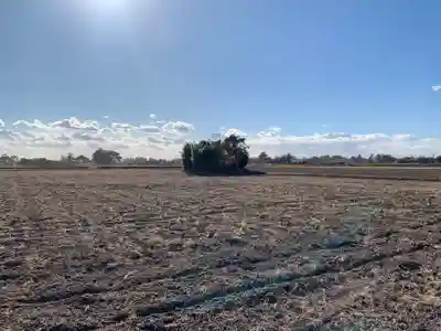 水神社(千葉県)
