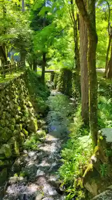 華厳寺の{uncategorized: "未分類", other: "その他", undefined: "問題あり", building: "その他建物", grave: "お墓", sacred_gate: "鳥居", guardian: "狛犬", statue: "像", buddha: "仏像", history: "歴史", nature: "自然", garden: "庭園", animal: "動物", pagoda: "塔", temizu: "手水舎", mountain_gate: "山門・神門", sanctuary: "本殿・本堂", subordinate: "末社・摂社", art: "芸術", scenery: "景色", jizo: "地蔵", ema: "絵馬", goshuin: "御朱印", omikuji: "おみくじ", items: "授与品その他", amulet: "お守り", goshuincho: "御朱印帳", eats: "食事", festival: "お祭り", votive_dance: "神楽", shichigosan: "七五三参", wedding: "結婚式", experience: "体験その他", initially: "初詣", around: "周辺", anti_infection: "感染症対策"}