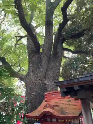 笠䅣稲荷神社(神奈川県)
