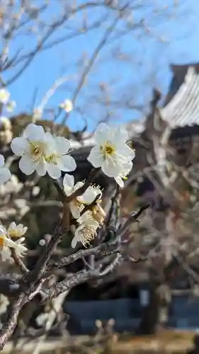  智積院(京都府)
