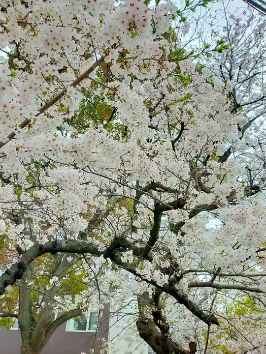 本弘寺(和歌山県)