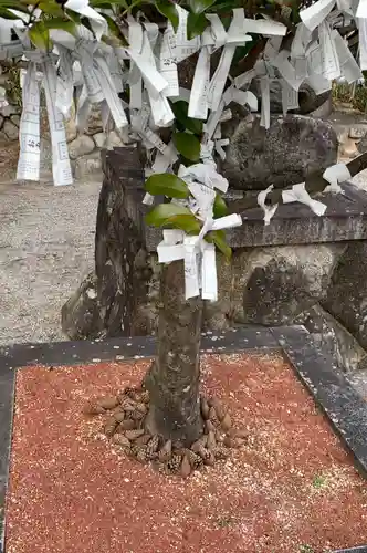 立志神社の自然