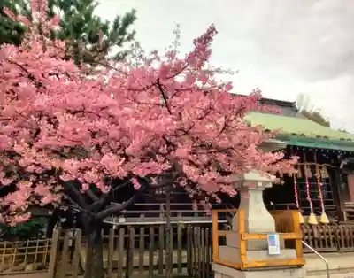 新宿下落合氷川神社(東京都)