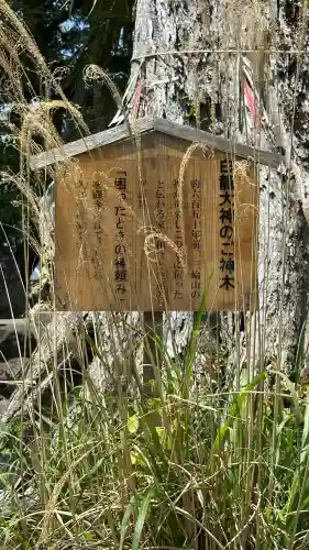 吉祥草寺(奈良県)