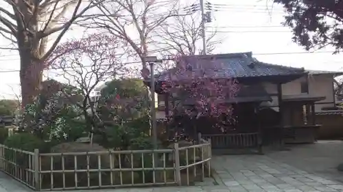 森巌寺の建物その他