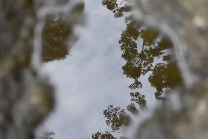 代々木八幡宮の自然