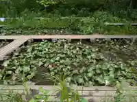 妙福寺(東京都)