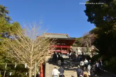 鶴岡八幡宮の本殿・本堂