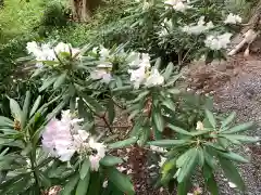 小國神社の自然