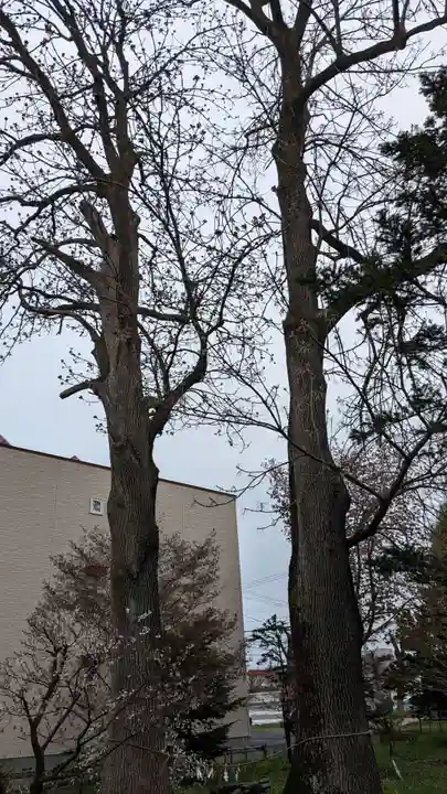 帯広三吉神社の自然