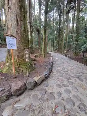 山神社(鹿児島県)
