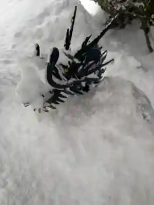 大鏑神社(福島県)