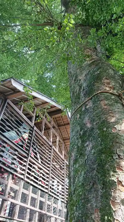 祖母井神社のその他建物
