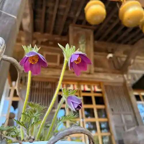 高司神社〜むすびの神の鎮まる社〜(福島県)