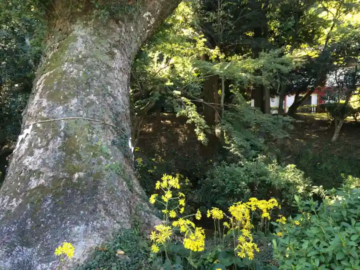 武蔵寺(福岡県)