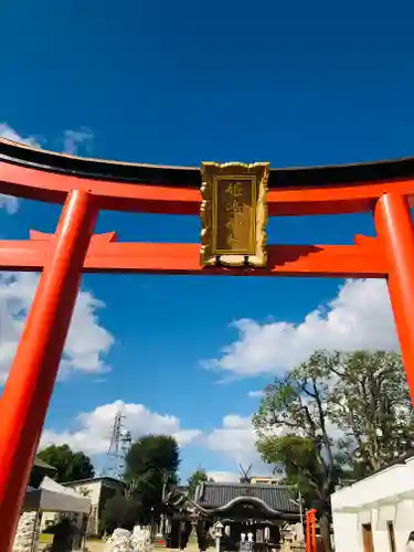 姫嶋神社の鳥居