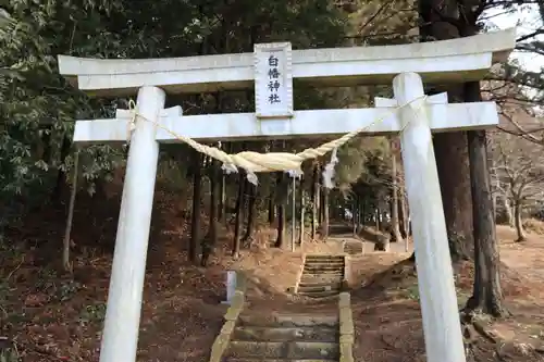 白幡神社の鳥居