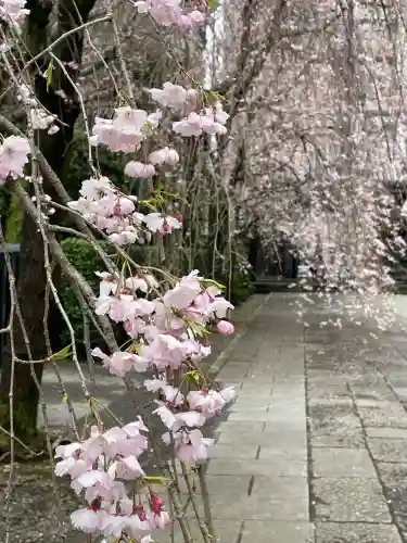 吉祥寺(東京都)