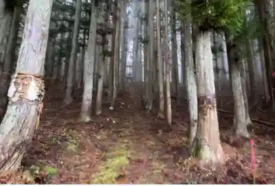 三部社(長野県)