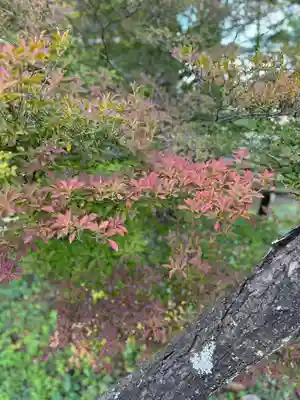 諏訪神社(長野県)