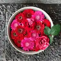 帯廣神社の手水舎