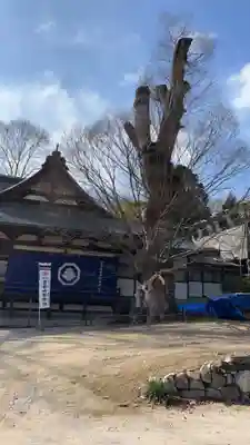 賀羅加波神社(広島県)