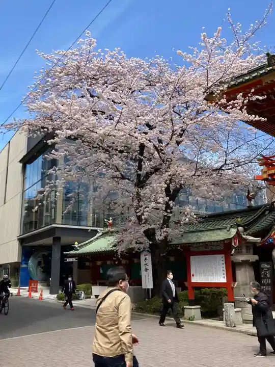 神田神社(神田明神)の自然