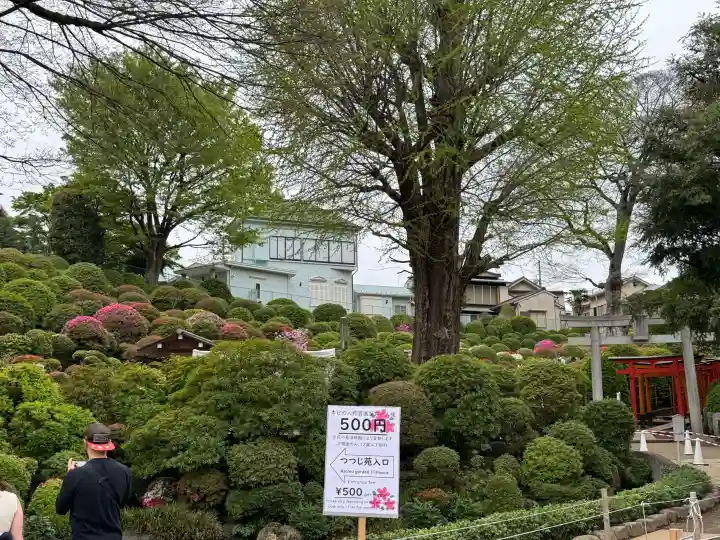 根津神社の{uncategorized: "未分類", other: "その他", undefined: "問題あり", building: "その他建物", grave: "お墓", sacred_gate: "鳥居", guardian: "狛犬", statue: "像", buddha: "仏像", history: "歴史", nature: "自然", garden: "庭園", animal: "動物", pagoda: "塔", temizu: "手水舎", mountain_gate: "山門・神門", sanctuary: "本殿・本堂", subordinate: "末社・摂社", art: "芸術", scenery: "景色", jizo: "地蔵", ema: "絵馬", goshuin: "御朱印", omikuji: "おみくじ", items: "授与品その他", amulet: "お守り", goshuincho: "御朱印帳", eats: "食事", festival: "お祭り", votive_dance: "神楽", shichigosan: "七五三参", wedding: "結婚式", experience: "体験その他", initially: "初詣", around: "周辺", anti_infection: "感染症対策"}