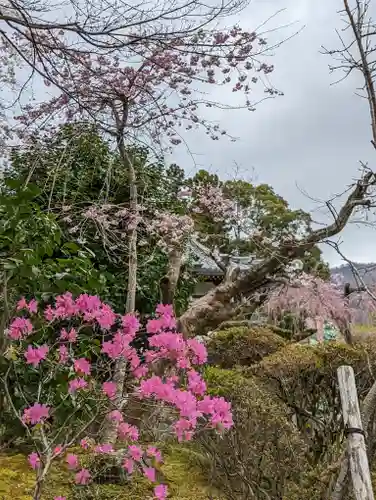 正法寺(京都府)