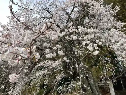 北野神社(福島県)