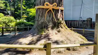 北口本宮冨士浅間神社(山梨県)