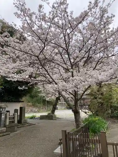 光明寺(神奈川県)