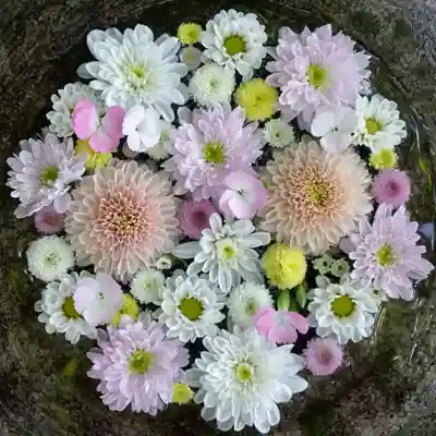 帯廣神社の手水舎