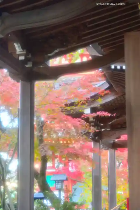 高幡不動尊 金剛寺(東京都)