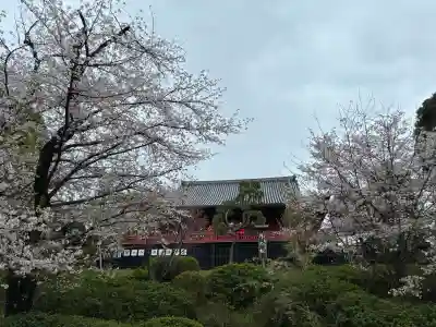 清水観音堂(東京都)