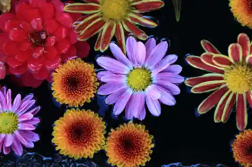 大鏑神社の手水舎