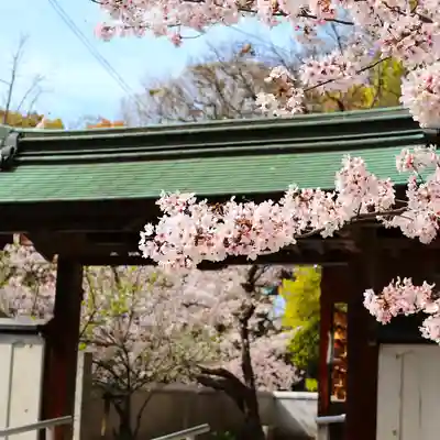 三津厳島神社の山門・神門