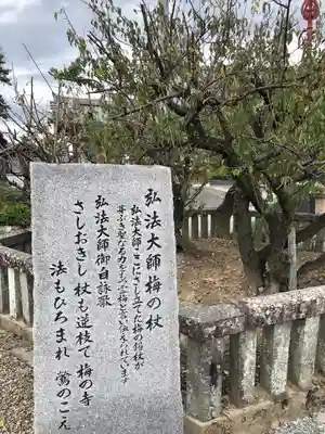 乙津寺　（鏡島弘法）(岐阜県)