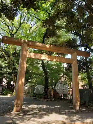 乃木神社の鳥居