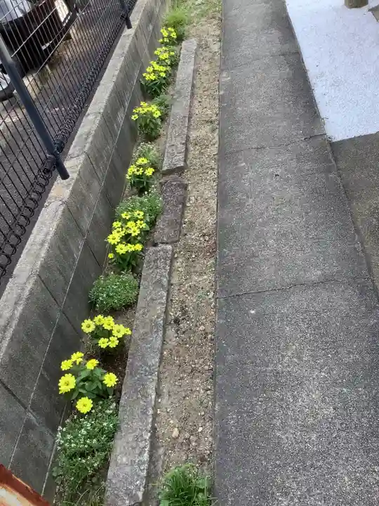 天神社(中村天神社)の自然