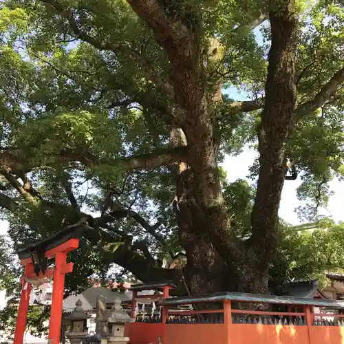 龍田神社の自然