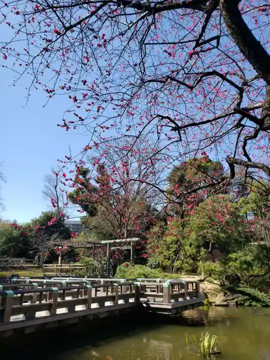 東郷神社の自然