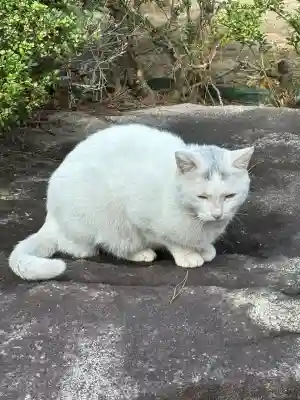 白島稲荷神社(広島県)