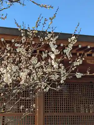 城南宮(京都府)