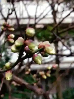 銀世界稲荷神社(東京都)