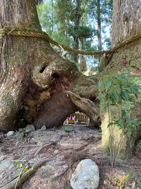 室生龍穴神社(奈良県)