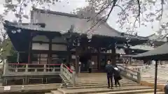 新井薬師（梅照院）(東京都)