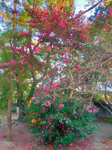 湯浅大宮 顯國神社(和歌山県)