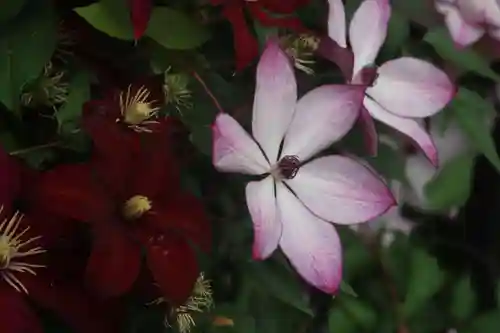 豊景神社の庭園
